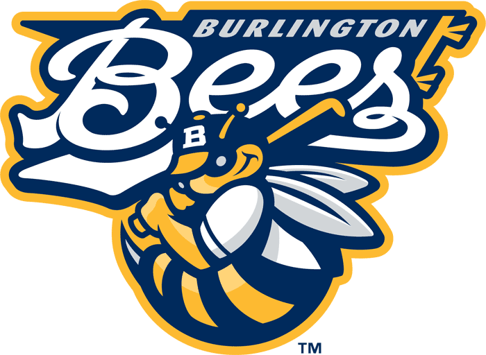 Burlington Bees 2007-Pres Primary Logo iron on transfers for clothing